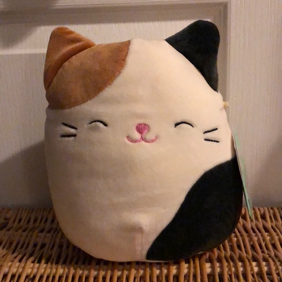 squishmallows cameron the cat